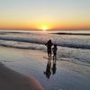 seagrant25